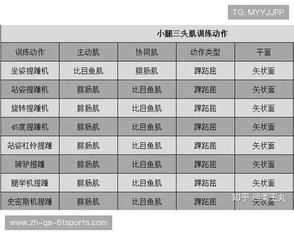 健身器材锻炼计划高清视频教程推荐